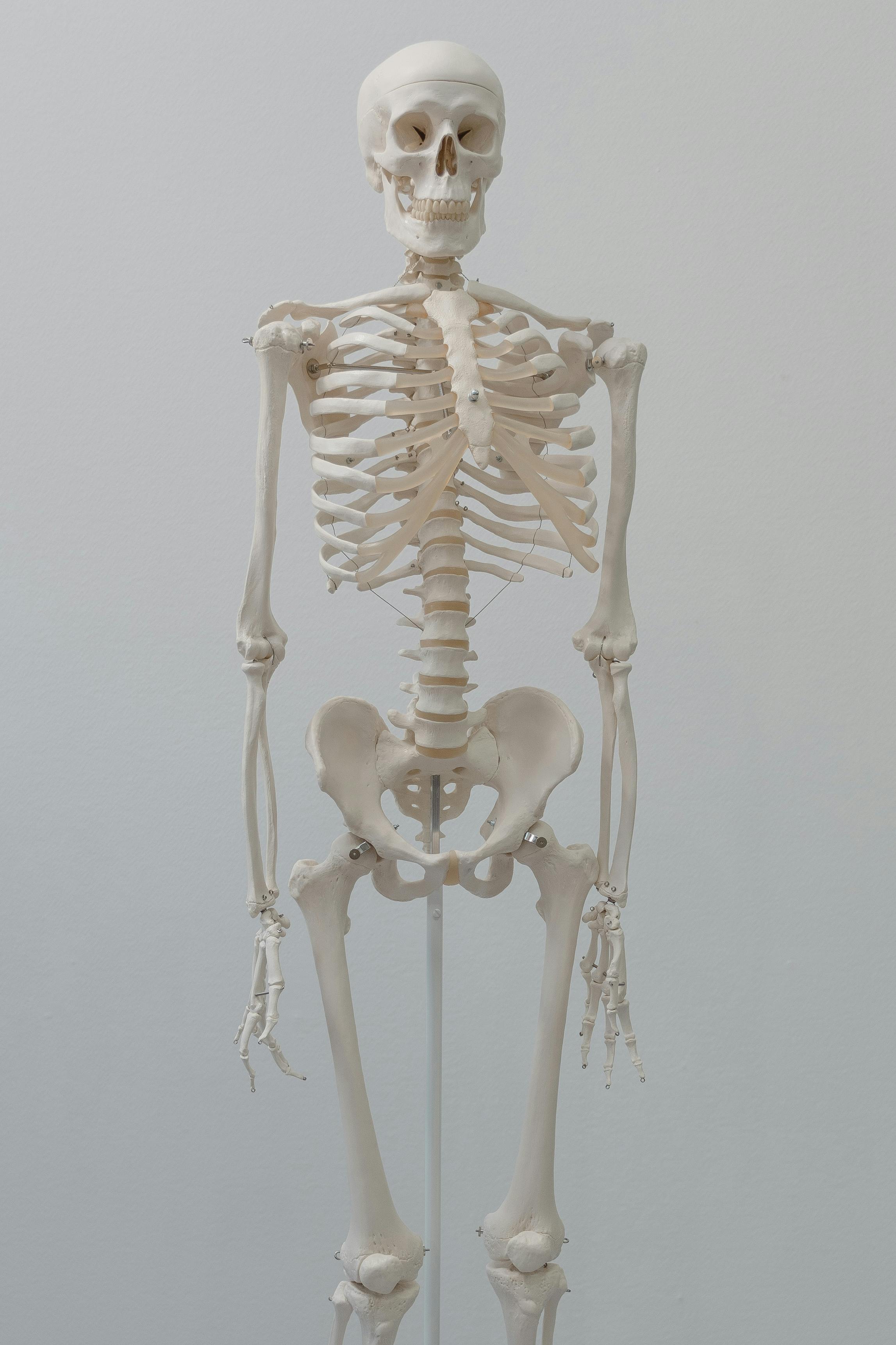 Member Image
