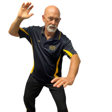 Professional Image