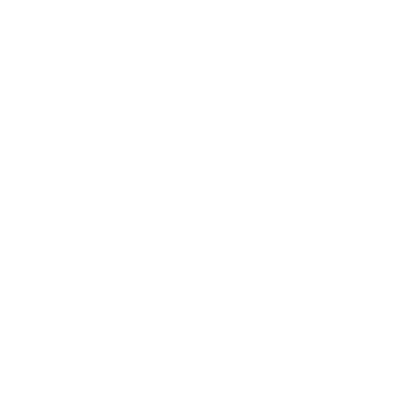 Professional Image