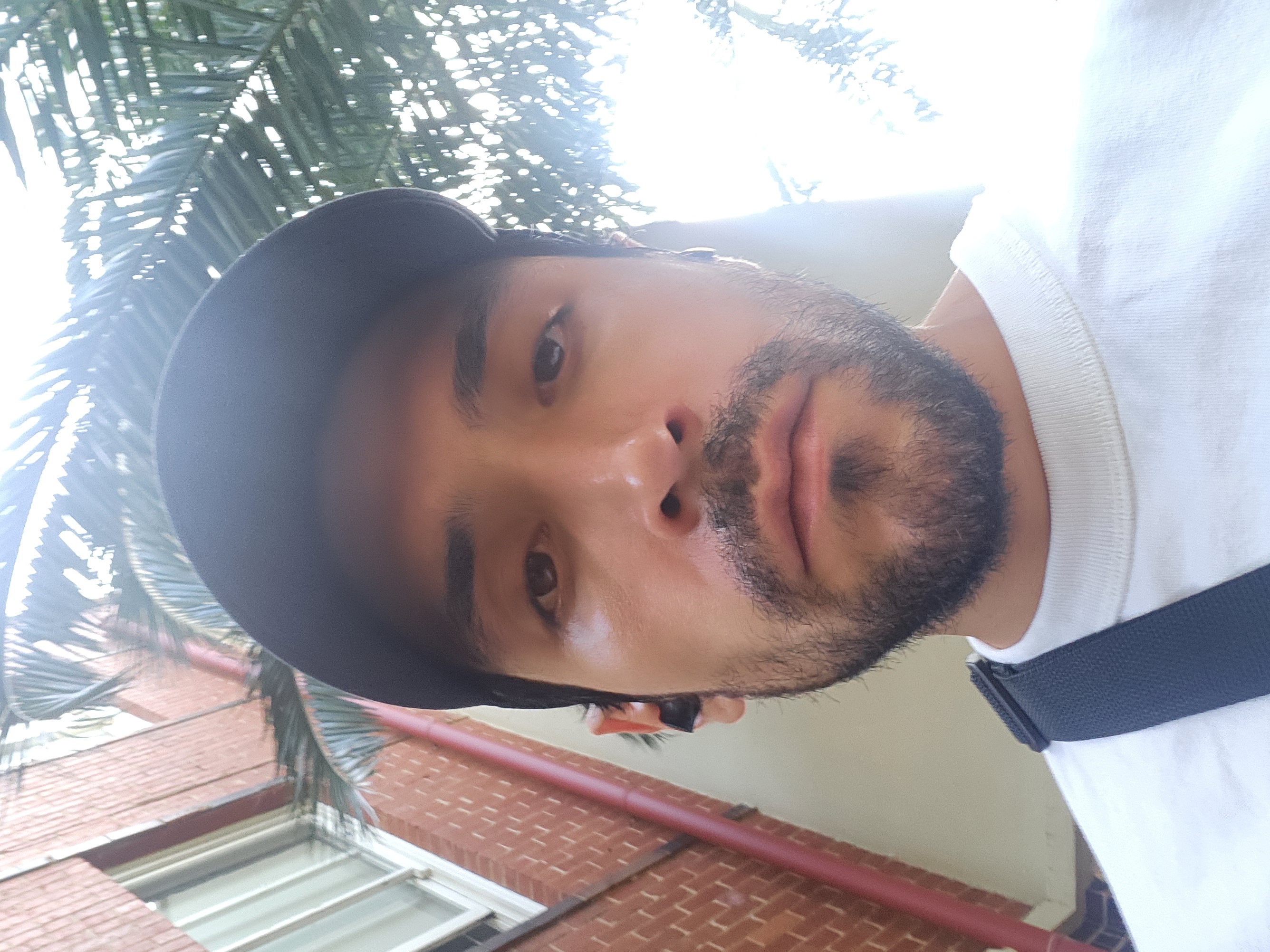 Professional Image