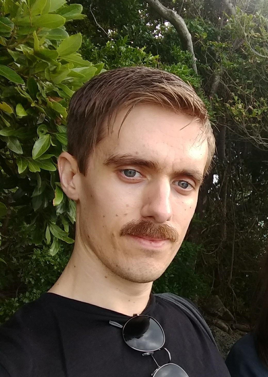Professional Image